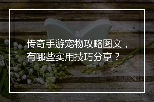 传奇手游宠物攻略图文，有哪些实用技巧分享？