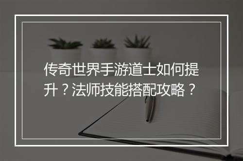 传奇世界手游道士如何提升？法师技能搭配攻略？