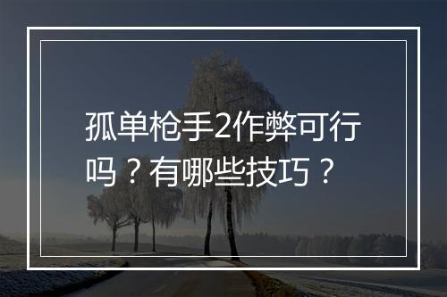 孤单枪手2作弊可行吗？有哪些技巧？