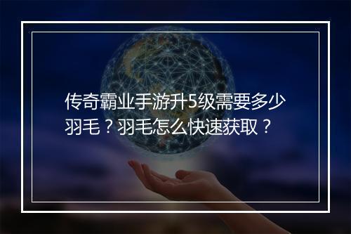 传奇霸业手游升5级需要多少羽毛？羽毛怎么快速获取？