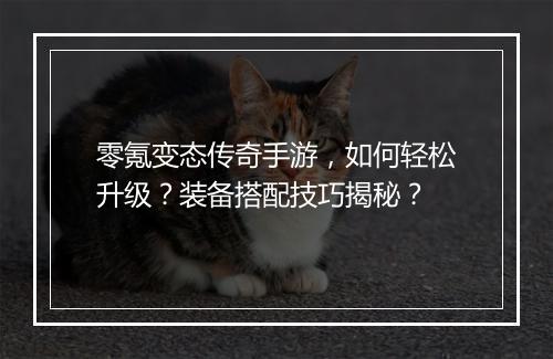 零氪变态传奇手游，如何轻松升级？装备搭配技巧揭秘？