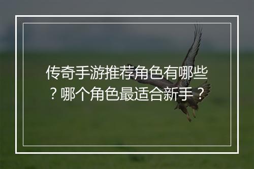 传奇手游推荐角色有哪些？哪个角色最适合新手？