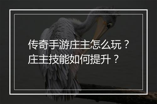 传奇手游庄主怎么玩？庄主技能如何提升？