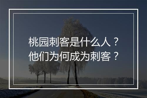 桃园刺客是什么人？他们为何成为刺客？