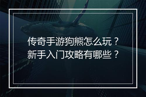 传奇手游狗熊怎么玩？新手入门攻略有哪些？