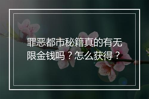 罪恶都市秘籍真的有无限金钱吗？怎么获得？