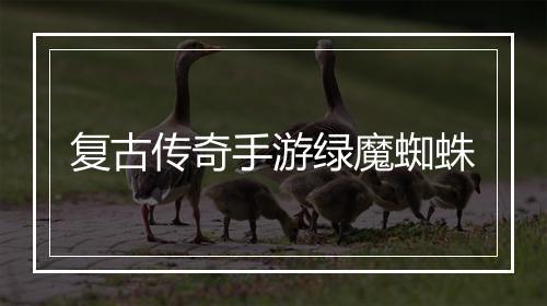 复古传奇手游绿魔蜘蛛
