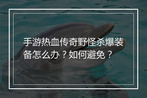 手游热血传奇野怪杀爆装备怎么办？如何避免？