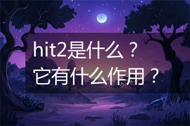 hit2是什么？它有什么作用？