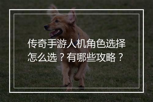 传奇手游人机角色选择怎么选？有哪些攻略？