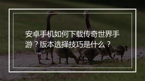 安卓手机如何下载传奇世界手游？版本选择技巧是什么？