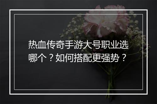 热血传奇手游大号职业选哪个？如何搭配更强势？