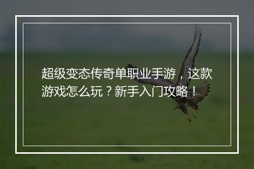 超级变态传奇单职业手游，这款游戏怎么玩？新手入门攻略！