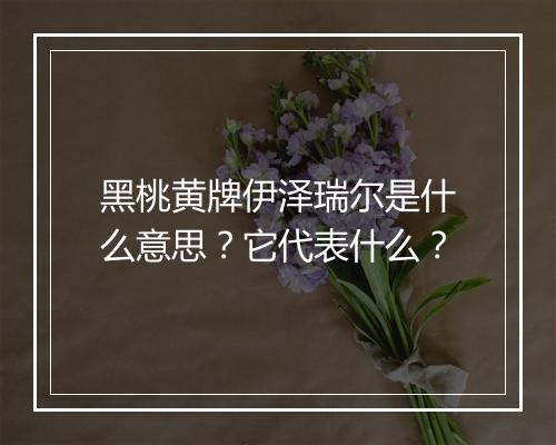 黑桃黄牌伊泽瑞尔是什么意思？它代表什么？