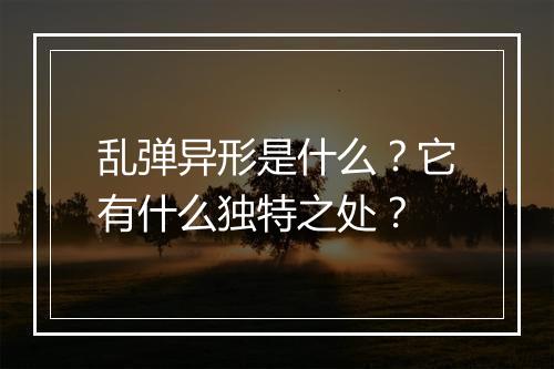 乱弹异形是什么？它有什么独特之处？