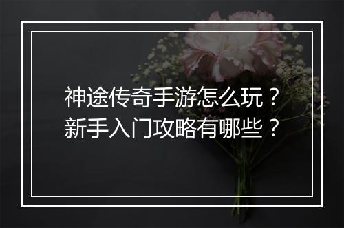 神途传奇手游怎么玩？新手入门攻略有哪些？