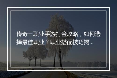 传奇三职业手游打金攻略，如何选择最佳职业？职业搭配技巧揭秘