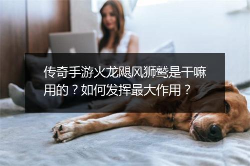 传奇手游火龙飓风狮鹫是干嘛用的？如何发挥最大作用？