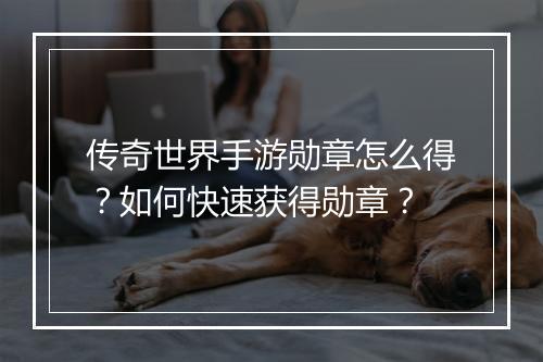传奇世界手游勋章怎么得？如何快速获得勋章？