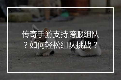 传奇手游支持跨服组队？如何轻松组队挑战？