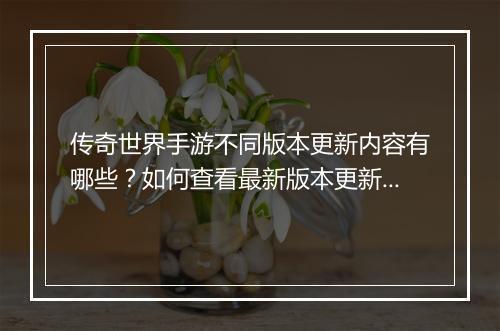 传奇世界手游不同版本更新内容有哪些？如何查看最新版本更新？