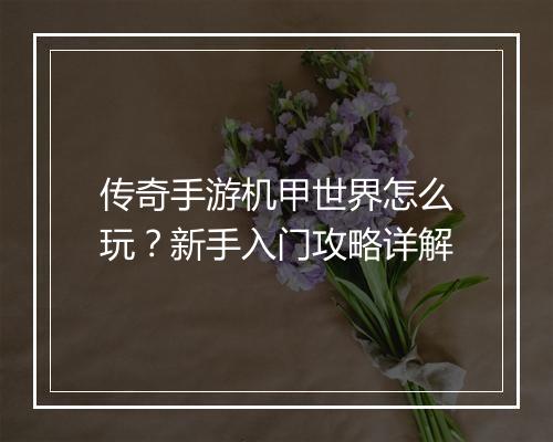 传奇手游机甲世界怎么玩？新手入门攻略详解