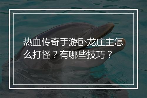 热血传奇手游卧龙庄主怎么打怪？有哪些技巧？