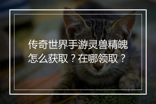 传奇世界手游灵兽精魄怎么获取？在哪领取？