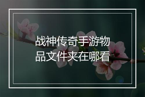 战神传奇手游物品文件夹在哪看