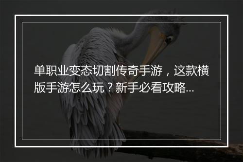 单职业变态切割传奇手游，这款横版手游怎么玩？新手必看攻略！