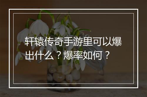 轩辕传奇手游里可以爆出什么？爆率如何？