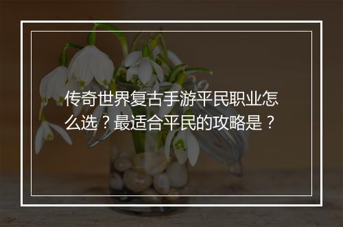 传奇世界复古手游平民职业怎么选？最适合平民的攻略是？