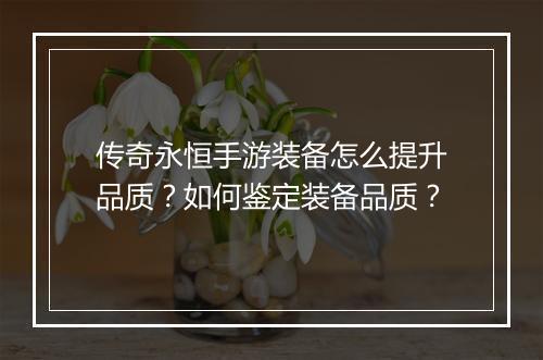 传奇永恒手游装备怎么提升品质？如何鉴定装备品质？