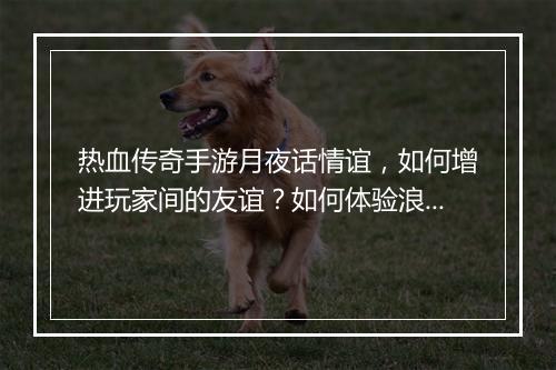 热血传奇手游月夜话情谊，如何增进玩家间的友谊？如何体验浪漫互动？