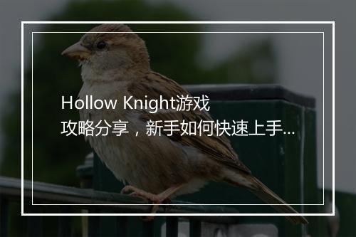Hollow Knight游戏攻略分享，新手如何快速上手？