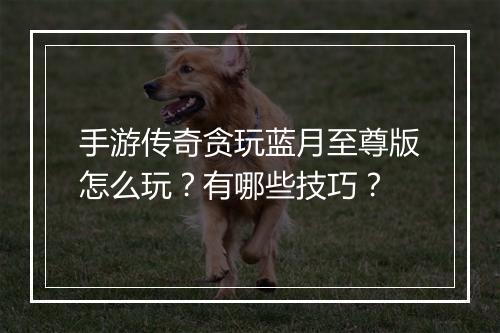 手游传奇贪玩蓝月至尊版怎么玩？有哪些技巧？