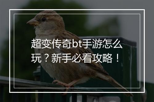 超变传奇bt手游怎么玩？新手必看攻略！