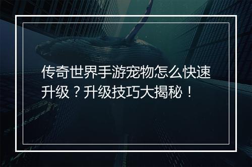 传奇世界手游宠物怎么快速升级？升级技巧大揭秘！