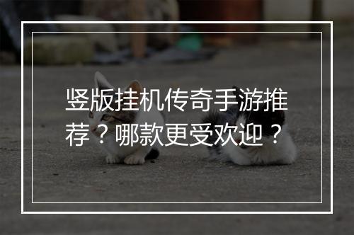 竖版挂机传奇手游推荐？哪款更受欢迎？
