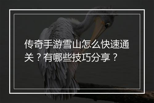 传奇手游雪山怎么快速通关？有哪些技巧分享？