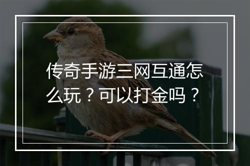 传奇手游三网互通怎么玩？可以打金吗？