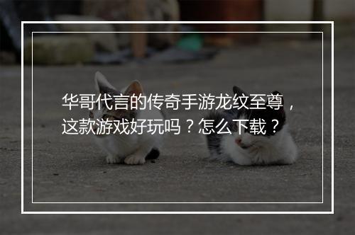 华哥代言的传奇手游龙纹至尊，这款游戏好玩吗？怎么下载？