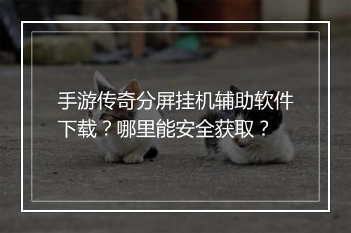 手游传奇分屏挂机辅助软件下载？哪里能安全获取？