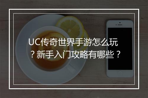 UC传奇世界手游怎么玩？新手入门攻略有哪些？