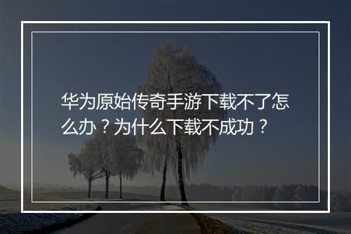 华为原始传奇手游下载不了怎么办？为什么下载不成功？