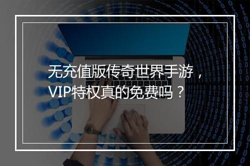 无充值版传奇世界手游，VIP特权真的免费吗？