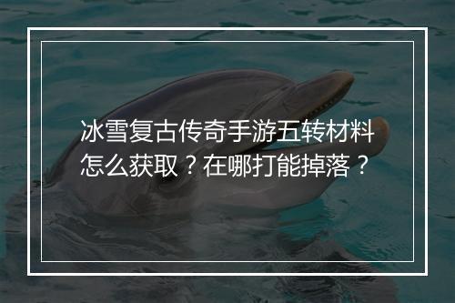 冰雪复古传奇手游五转材料怎么获取？在哪打能掉落？