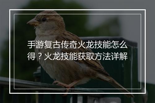 手游复古传奇火龙技能怎么得？火龙技能获取方法详解