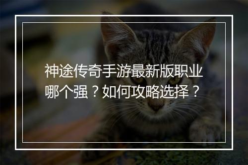 神途传奇手游最新版职业哪个强？如何攻略选择？