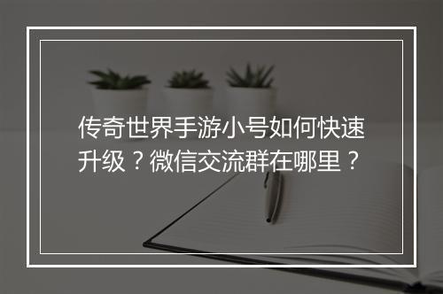 传奇世界手游小号如何快速升级？微信交流群在哪里？